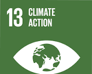 SDG 13