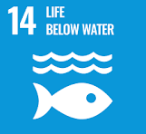 SDG 14